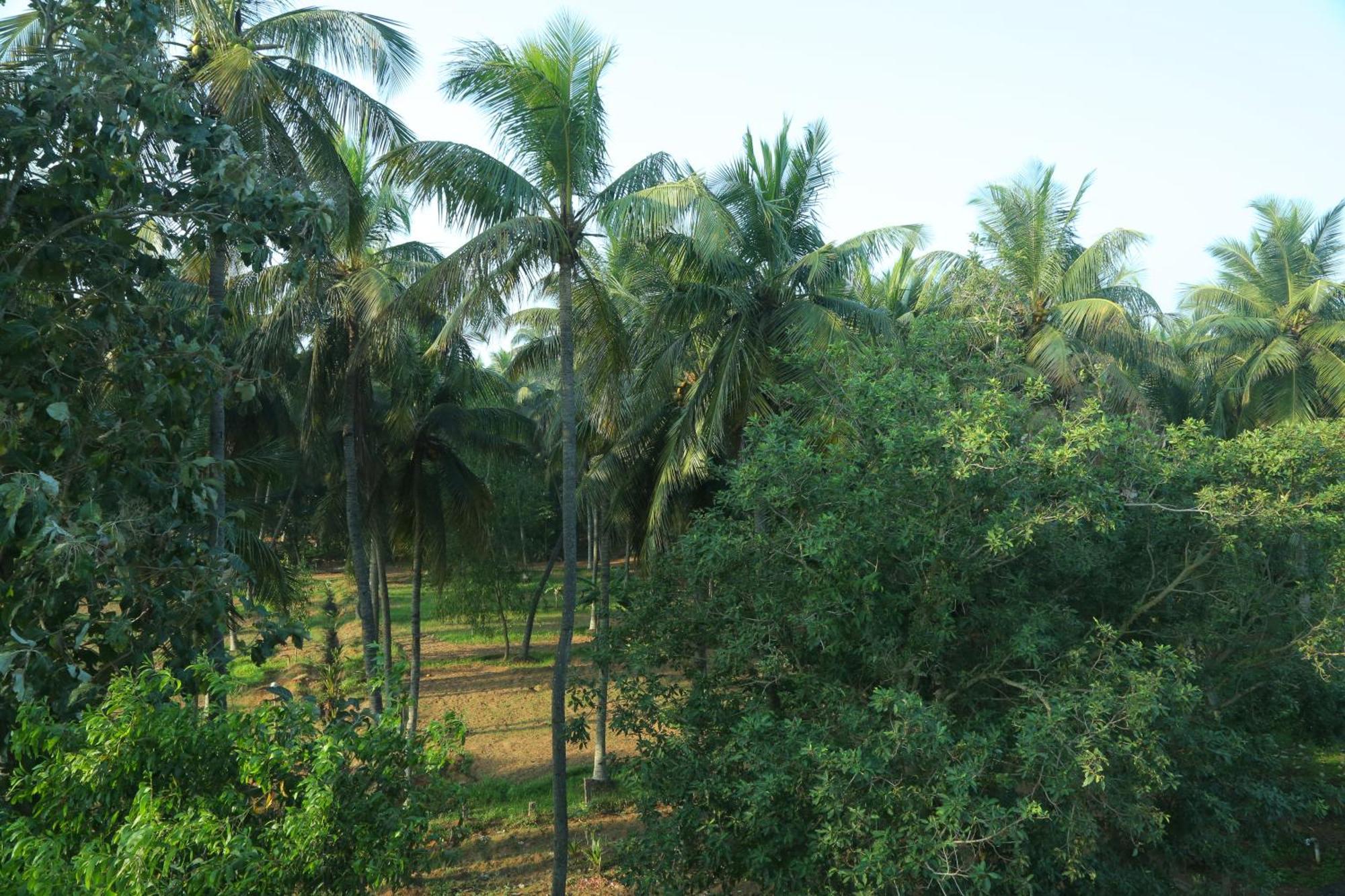 Misty Ocean - A Bergamont Group Of Hotel Kuilapalayam المظهر الخارجي الصورة